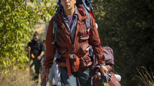 Film dei record 'Buen Camino' di Checco Zalone su Netflix dal 29 aprile