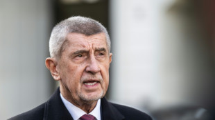 Tschechien: EU-skeptische Koalition unter Regierungschef Babis wird vereidigt