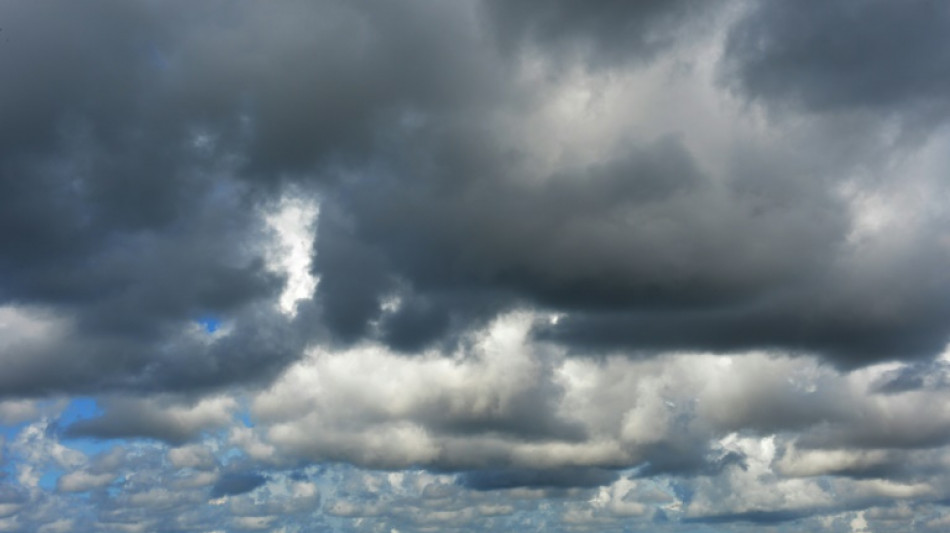 Verwaltungsgericht billigt Aufl&ouml;sung von Punker-Protestcamp auf Sylt