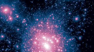 Osservato il 'furto' di gas che spegne le galassie lontane