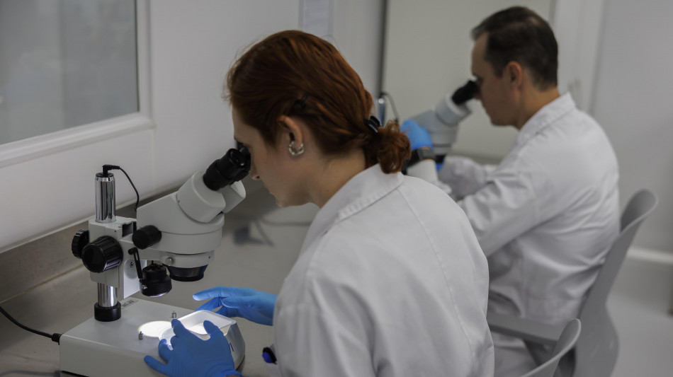 Batterio trasformato in biofabbrica di pigmenti dei calamari