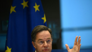 'Keep dreaming': NATO chief says Europe can't defend itself without US