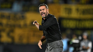 Artur Jorge, o 'caça-fantasmas' do Botafogo