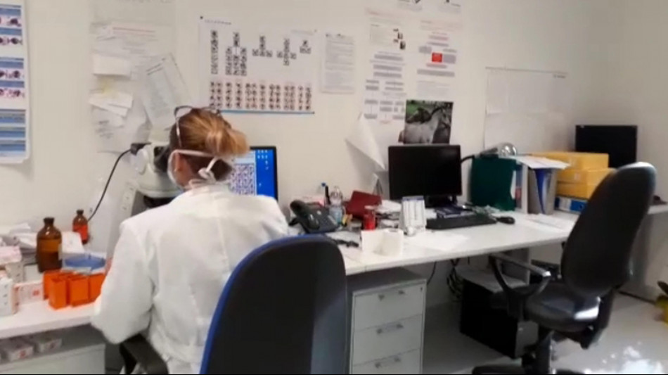 Manovra, nasce il Fondo per la programmazione della ricerca