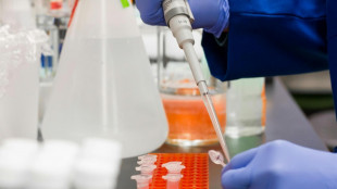 Un nuovo farmaco mutaforma sferra un doppio colpo ai tumori