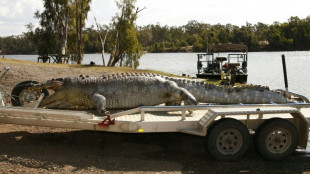 Croc-habitat gets green light for 2032 Olympic rowing 
