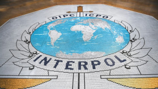Cyberarnaques sentimentales et sextorsion: 260 arrestations en Afrique, annonce Interpol