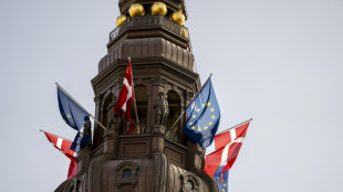 Sicherheit und Wettbewerb: Dänemark übernimmt die EU-Ratspräsidentschaft 