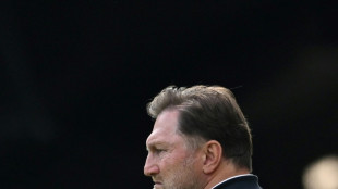 Wolfsburg trennt sich von Hasenhüttl - Bauer übernimmt 