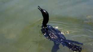 Venezuela implementar&aacute; plano para despoluir seu maior lago