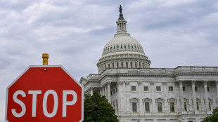 Alarm over AI grows as divided US Congress struggles to act