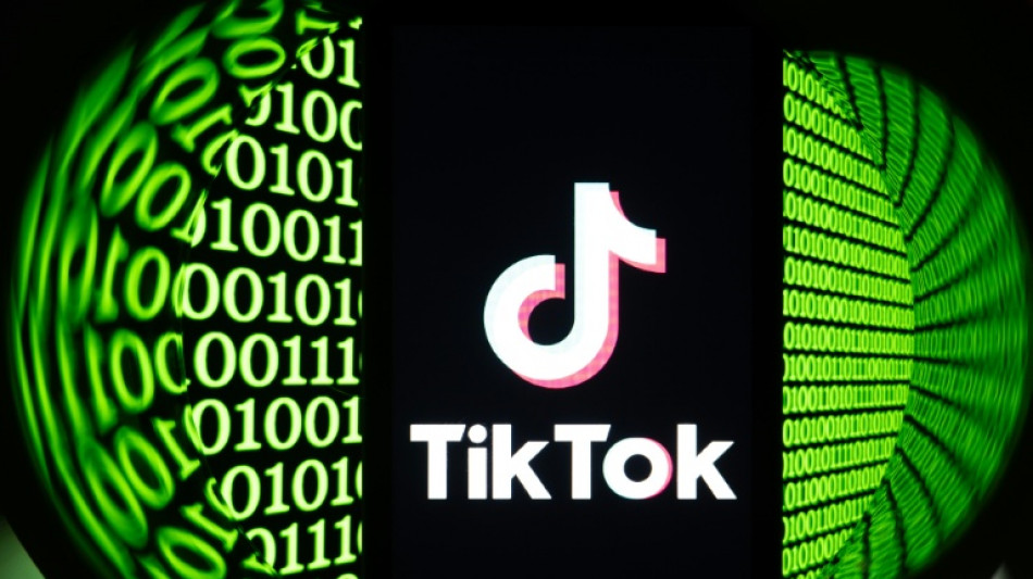 Albania TikTok ban violated free speech, court rules