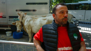 Europeus se preocupam com possível impacto do acordo UE-Mercosul na agricultura