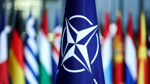 Au&szlig;enminister von Nato und EU beraten &uuml;ber Ukraine-Krieg