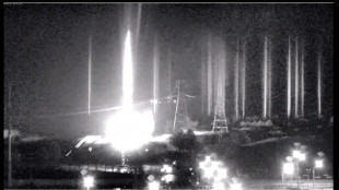 Fire at Ukrainian nuclear plant after Russian forces attack