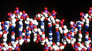 L'evoluzione dei tumori influenzata dal patrimonio genetico dell'individuo