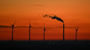 Umsatz mit Produkten rund um den Umweltschutz 2024 nach Jahren erstmals gesunken