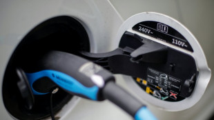 Wirtschaftsministerium will wegen Missbrauchs F&ouml;rderung von E-Autos &auml;ndern