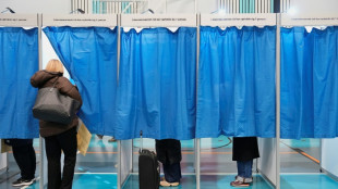 Inmitten von Cyberattacken: D&auml;nen stimmen &uuml;ber Regional- und Kommunalparlamente ab