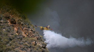 Al menos 12 fallecidos y 23 personas sin localizar en un voraz incendio en el sur de Espa&ntilde;a