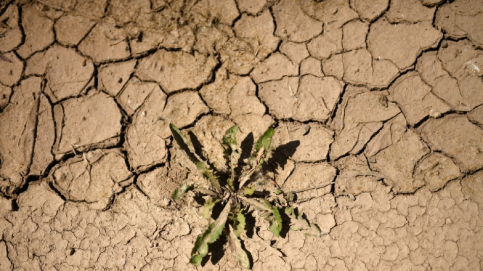 Fehlende Niederschl&auml;ge: Wasserspeicherung in Deutschland nimmt ab