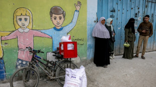UN appoints envoy to assess aid for Palestinians