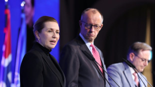 Nordsee-Staaten wollen Windenergie ausbauen - Merz sieht aber nur "&Uuml;bergangstechnologie"