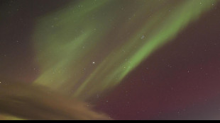 Le luci dell'aurora boreale accendono il cielo delle Dolomiti