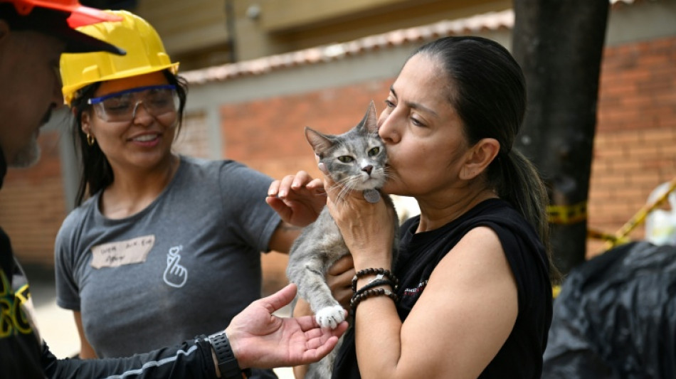 "Un r&ecirc;ve qui se r&eacute;alise": des sinistr&eacute;s retrouvent leur animal de compagnie apr&egrave;s le s&eacute;isme en Colombie