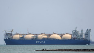 Arera, dagli Usa la quota principale dell'import di Gnl in Italia