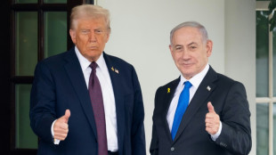 Trump announces Gaza peace plan, with Netanyahu backing