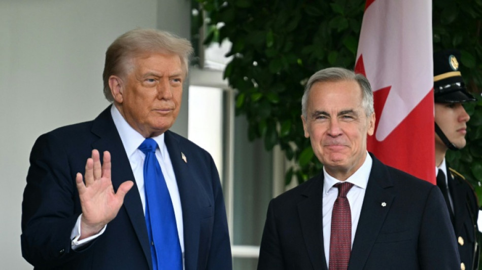 Canadian PM visits Trump in bid to ease tariffs