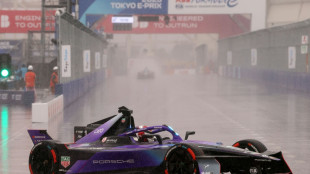 Formel E: Vandoorne siegt - keine Punkte für deutsches Trio