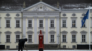 SPD und Gr&uuml;ne offen f&uuml;r Nicht-Politiker im Schloss Bellevue