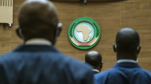 'Weak by design' African Union gathers for summit