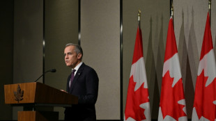 'Swing for the fences': Carney promises bold budget as US threat grows