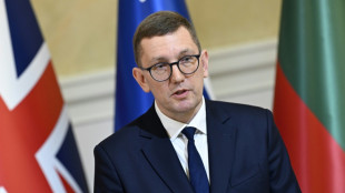 Un dron ucraniano impacta una central el&eacute;ctrica en Estonia, otro se estrella en Letonia