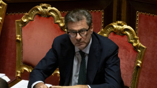 Giorgetti, 'Pil in accelerazione, ma stima anno prudenziale'