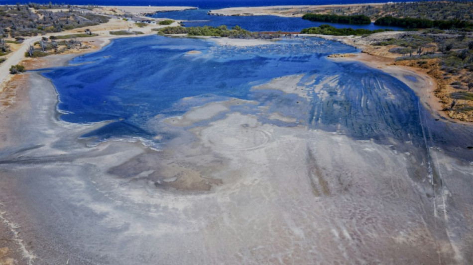 Climat: jugement dans un proc&egrave;s pr&eacute;curseur opposant une petite &icirc;le aux Pays-Bas