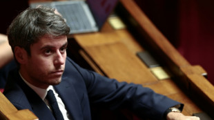 Retraites: les dilemmes de Renaissance