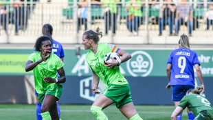 Brand rettet Wolfsburg: Später Sieg gegen Hoffenheim