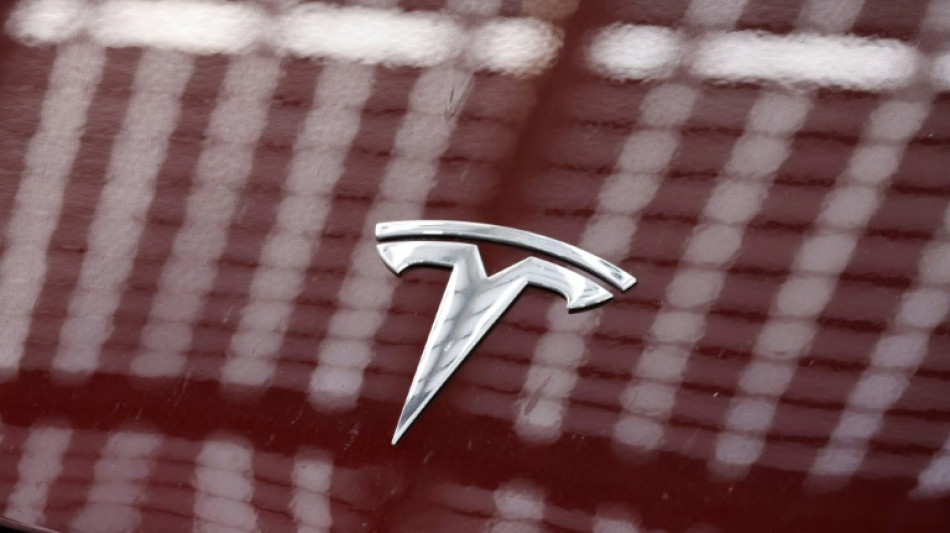 Tesla sales tumble in Europe in the first quarter