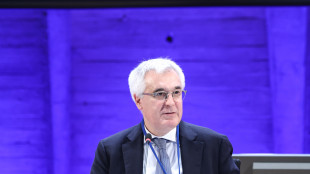 Ambasciatore Stellino (Unesco) presiede commissione programmi