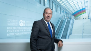 Tech migrants 'key' for US growth, warns OECD chief economist