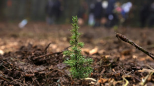 La s&eacute;cherie de La Joux, un coffre-fort &agrave; graines pour la for&ecirc;t fran&ccedil;aise