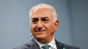 Shah-Sohn geht von baldigem "endg&uuml;ltigen Sieg" &uuml;ber islamische F&uuml;hrung im Iran aus