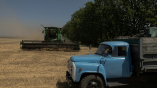 Dans le centre de l'Ukraine, une guerre chaque jour plus présente