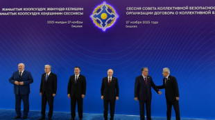 Rusia parar&aacute; los combates si Ucrania se retira, afirma Putin