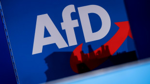 Verfassungsschutz in Niedersachsen stuft AfD zu Beobachtungsobjekt hoch