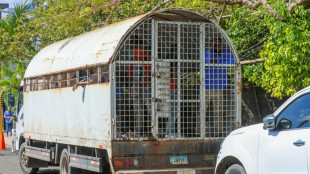 Dominican Republican reports sharp rise in Haitian migrant deportations